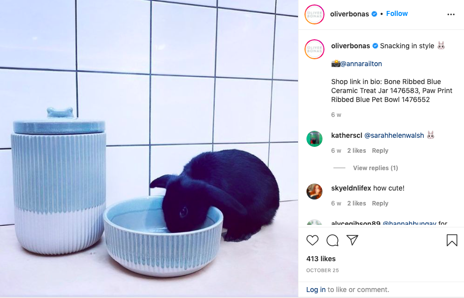Oliver Bonas - Rabbit With Ceramic Treat Jar & Bowl - User Generated Content