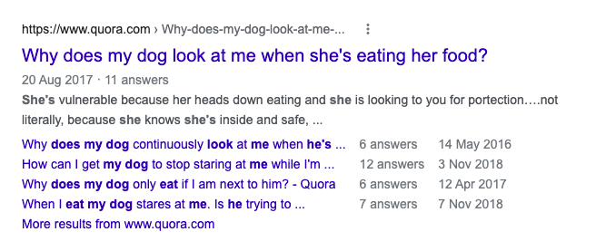 Google search result for dog looking at me when eating - Quora Ads